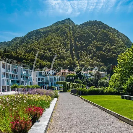 Labiena Maggiore Laveno