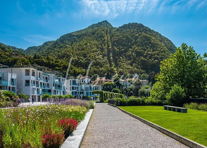 Labiena Maggiore Laveno